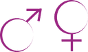 Icône Indice d'Ecart des Rémunérations Femmes/Hommes