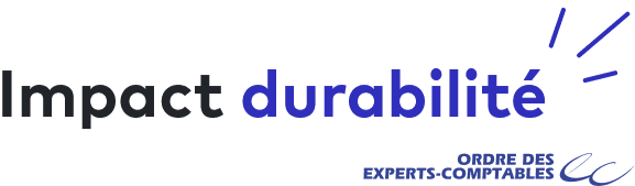 Logo Impact durabilité